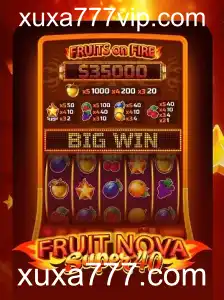 Explorando o Jogo FruitNovaSuper40